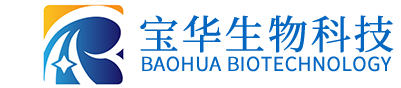 看足球比赛的网站推荐
